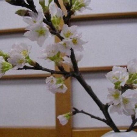 Wakaba Ryokan / Vacation Stay 29362 Szakata Kültér fotó